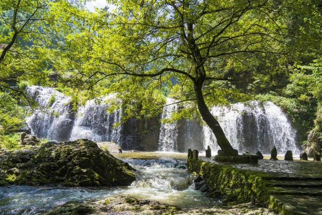 游泳冠军叶诗文_叶诗文2021全国游泳冠军赛_游泳世界冠军叶诗文现状怎样