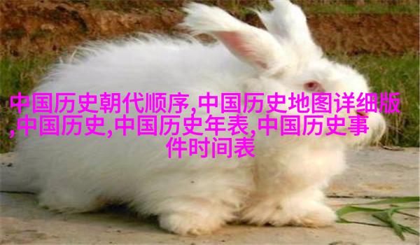 波兰历史足球_波兰足球历史最佳阵容_波兰足球历史第一人