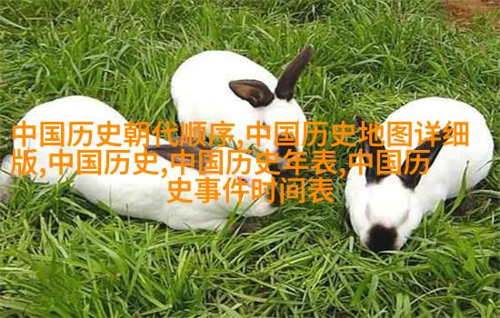 波兰足球历史第一人_波兰足球历史最佳阵容_波兰历史足球