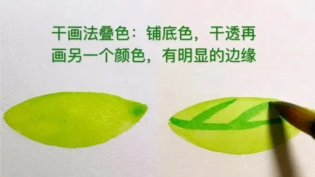 水彩画生活手绘_水彩生活图鉴_水彩画生活技巧