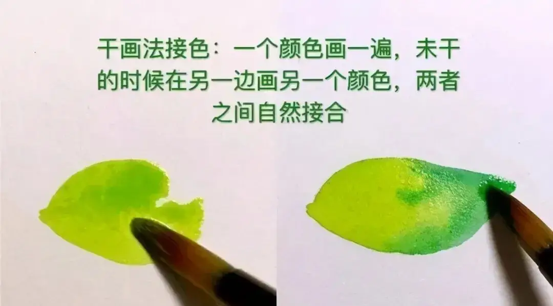 水彩生活图鉴_水彩画生活手绘_水彩画生活技巧